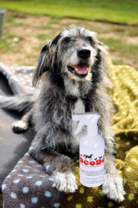 Das Deodorant für Hunde