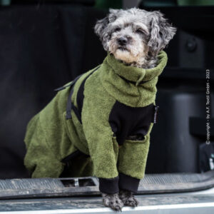 Nützliche Accessoires für den Hund